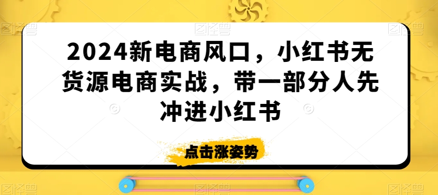 2024新电商风口，小红书无货源电商实战，带一部分人先冲进小红书-逐浪前行