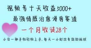 十天收益5000+，多平台捞金，视频号情感治愈漫剪，一个月收徒28个，小白一部手机轻松上手【揭秘】-逐浪前行