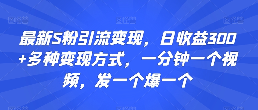最新S粉引流变现，日收益300+多种变现方式，一分钟一个视频，发一个爆一个【揭秘】-逐浪前行