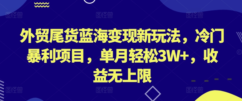 外贸尾货蓝海变现新玩法，冷门暴利项目，单月轻松3W+，收益无上限【揭秘】-逐浪前行