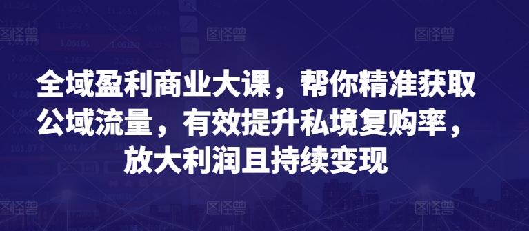 全域盈利商业大课，帮你精准获取公域流量，有效提升私境复购率，放大利润且持续变现-逐浪前行