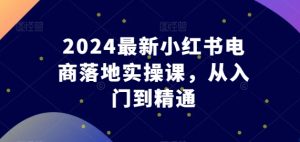 2024最新小红书电商落地实操课,从入门到精通-逐浪前行