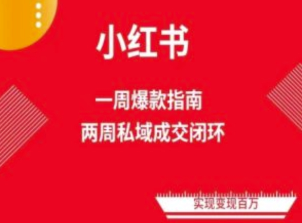 爆款小红书免费流量体系课程(两周变现)，小红书电商教程-逐浪前行