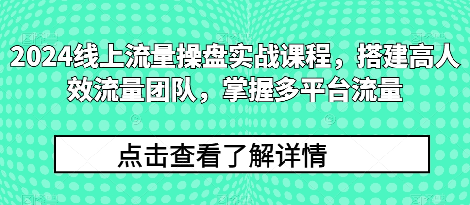 2024线上流量操盘实战课程，搭建高人效流量团队，掌握多平台流量-逐浪前行
