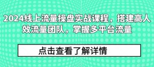 2024线上流量操盘实战课程,搭建高人效流量团队,掌握多平台流量-逐浪前行