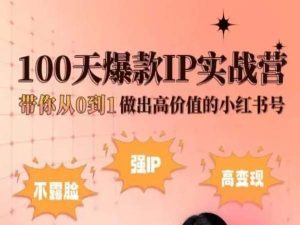 小红书100天爆款IP实战营，带你从0到1做出高价值的小红书号-逐浪前行