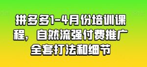 拼多多1-4月份培训课程，自然流强付费推广全套打法和细节-逐浪前行