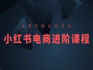 从零开始走向专业,小红书电商进阶课程-逐浪前行