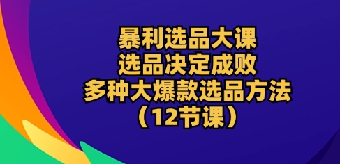 暴利选品大课：选品决定成败，教你多种大爆款选品方法(12节课)-逐浪前行