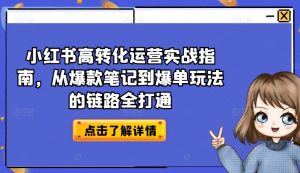 小红书高转化运营实战指南,从爆款笔记到爆单玩法的链路全打通-逐浪前行