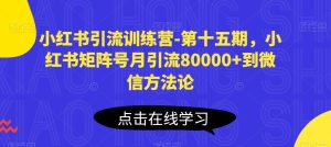 小红书引流训练营-第十五期，小红书矩阵号月引流80000+到微信方法论-逐浪前行