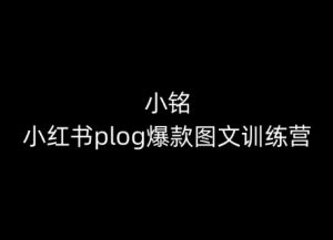 小铭-小红书plog爆款图文训练营，教你从0-1做小红书-逐浪前行