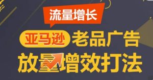 亚马逊流量增长-老品广告放量增效打法,循序渐进,打造更多TOP listing-逐浪前行