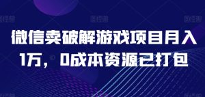 微信卖破解游戏项目月入1万,0成本资源已打包【揭秘】-逐浪前行