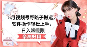 5月视频号野路子搬运,软件操作轻松上手,日入三位数【揭秘】-逐浪前行