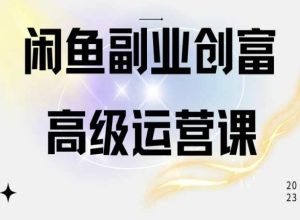 闲鱼电商运营高级课程,一部手机学会闲鱼开店赚钱-逐浪前行