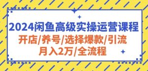 2024闲鱼高级实操运营课程:开店/养号/选择爆款/引流/月入2万/全流程-逐浪前行
