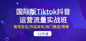 国际版Tiktok抖音运营流量实战班:账号定位/作品发布/热门推送/等等-13节-逐浪前行
