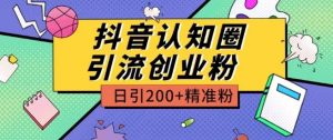 外面收费3980抖音认知圈引流创业粉玩法日引200+精准粉【揭秘】-逐浪前行