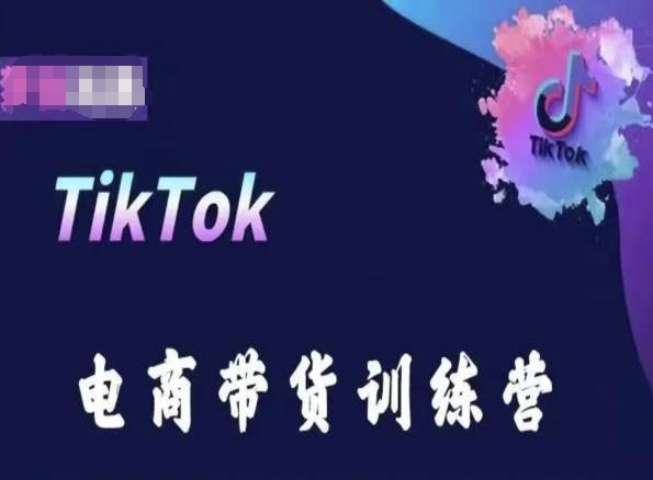 TikTok电商带货训练营，跟随时代潮流，跨境掘金-逐浪前行