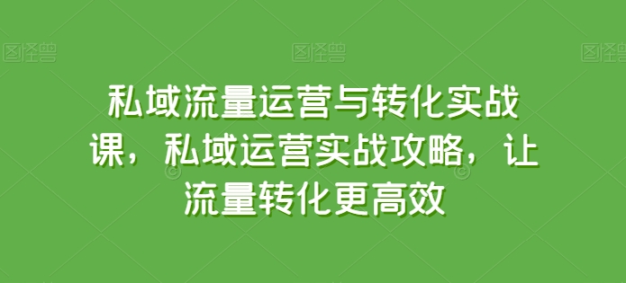 私域流量运营与转化实战课，私域运营实战攻略，让流量转化更高效-逐浪前行