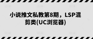 小说推文私教第8期，LSP混剪类(UC浏览器)-逐浪前行