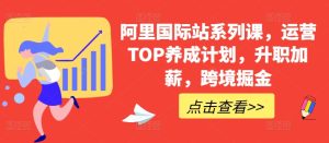 阿里国际站系列课,运营TOP养成计划,升职加薪,跨境掘金-逐浪前行