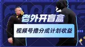 老外开盲盒视频，撸视频号分成计划收益，每天只需一小时，新手小白轻松上手【揭秘】-逐浪前行