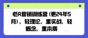 老A营销训练营(更24年5月),轻理论,重实战,轻概念,重本质-逐浪前行