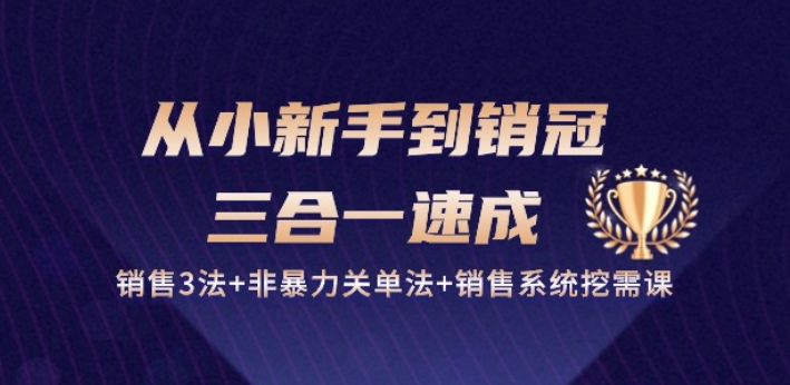 从小新手到销冠 三合一速成：销售3法+非暴力关单法+销售系统挖需课 (27节)-逐浪前行