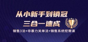 从小新手到销冠 三合一速成:销售3法+非暴力关单法+销售系统挖需课 (27节)-逐浪前行