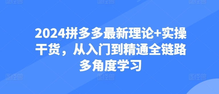 2024拼多多最新理论+实操干货，从入门到精通全链路多角度学习-逐浪前行