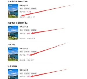 磁力聚星游戏副业陪跑训练营1.0,长期稳定项目,有人一周干了1K+-逐浪前行