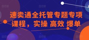 速卖通全托管专题专项课程,实操 高效 爆单-逐浪前行