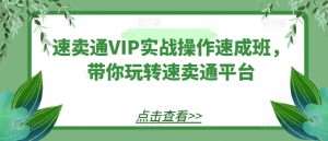 速卖通VIP实战操作速成班,带你玩转速卖通平台-逐浪前行