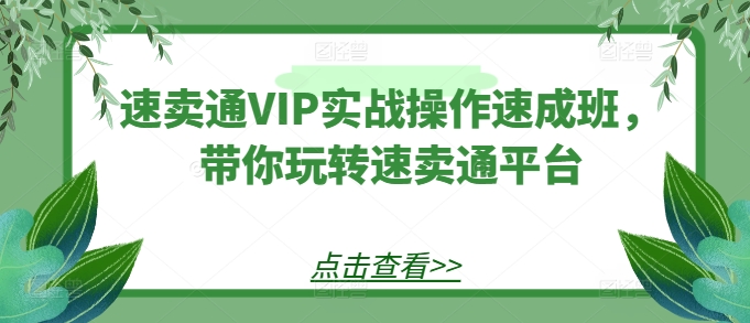 速卖通VIP实战操作速成班，带你玩转速卖通平台-逐浪前行