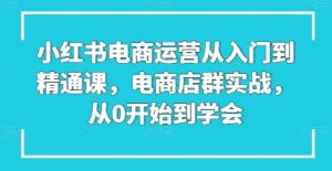 小红书电商运营从入门到精通课，电商店群实战，从0开始到学会-逐浪前行