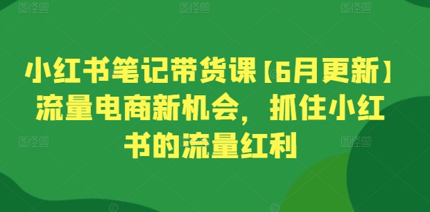 小红书笔记带货课【6月更新】流量电商新机会，抓住小红书的流量红利-逐浪前行