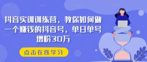 抖音实训训练营,教你如何做一个赚钱的抖音号,单日单号增粉30万-逐浪前行
