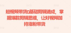 短视频带货0基础剪辑速成,掌握爆款剪辑思维,让好视频加持涨粉带货-逐浪前行