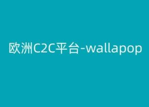 欧洲C2C平台-wallapop-kim跨境电商教程-逐浪前行