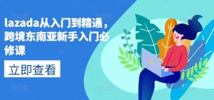 lazada从入门到精通,跨境东南亚新手入门必修课-逐浪前行