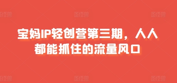 宝妈IP轻创营第三期，人人都能抓住的流量风口-逐浪前行