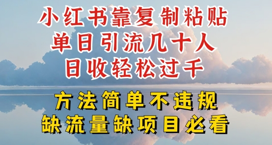 小红书靠复制粘贴单日引流几十人目收轻松过千，方法简单不违规【揭秘】-逐浪前行