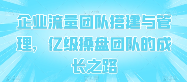 企业流量团队搭建与管理，亿级操盘团队的成长之路-逐浪前行