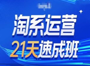 淘系运营24天速成班第28期最新万相台无界带免费流量-逐浪前行