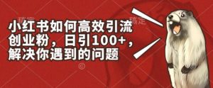 小红书如何高效引流创业粉，日引100+，解决你遇到的问题【揭秘】-逐浪前行