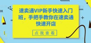 速卖通VIP新手快速入门班,手把手教你在速卖通快速开店-逐浪前行