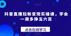 抖音直播拉新变现实操课,学会一周多挣五六百-逐浪前行
