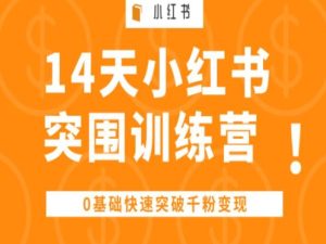 14天小红书突围训练营 ,0基础快速突破千粉变现-逐浪前行